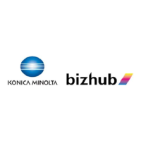 bizhub image Client 1